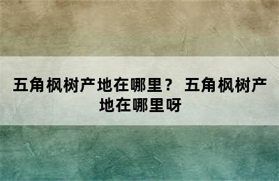 五角枫树产地在哪里？ 五角枫树产地在哪里呀